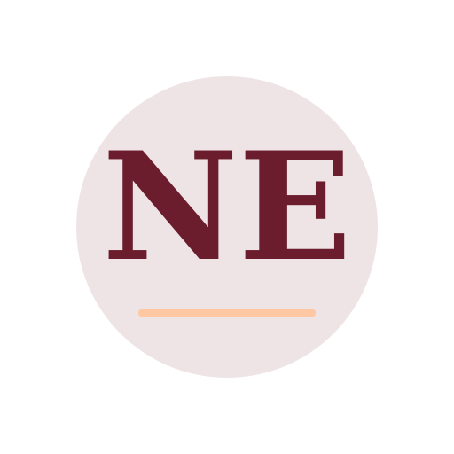 North Edge Air Duct Services logo